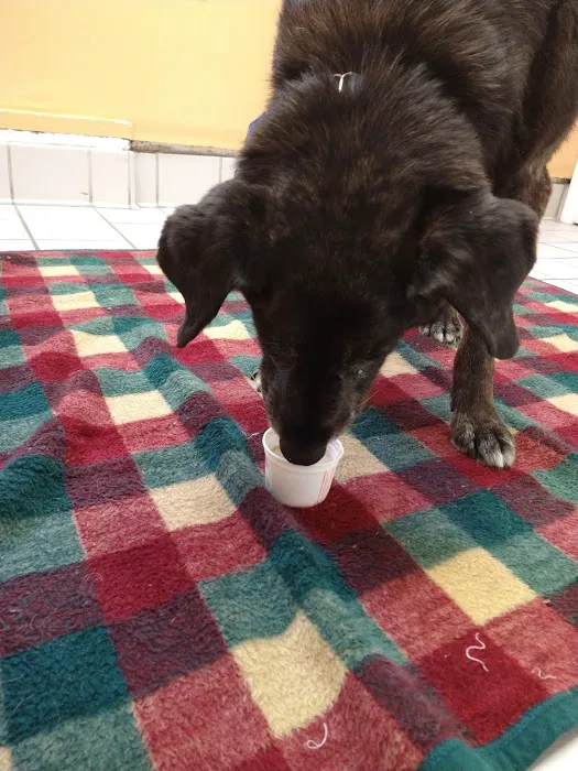 Four County Animal Hospital 12