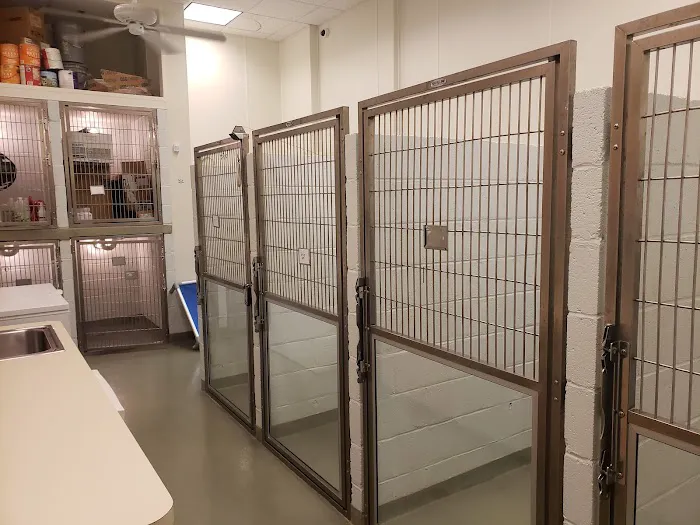 Family Veterinary Hospital of Stone Ridge 2