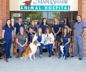 Mapleshade Animal Hospital