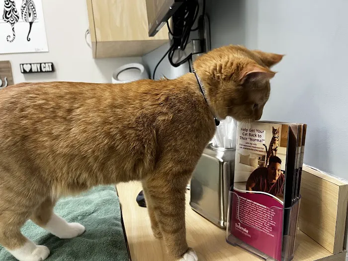 Staples Mill Animal Hospital 10