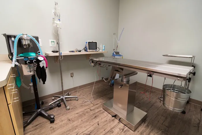 Staples Mill Animal Hospital 8