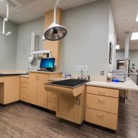 Staples Mill Animal Hospital ico