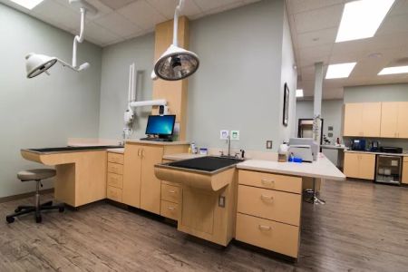 Staples Mill Animal Hospital