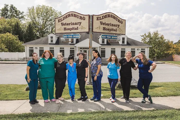 Eldersburg Veterinary Hospital 2
