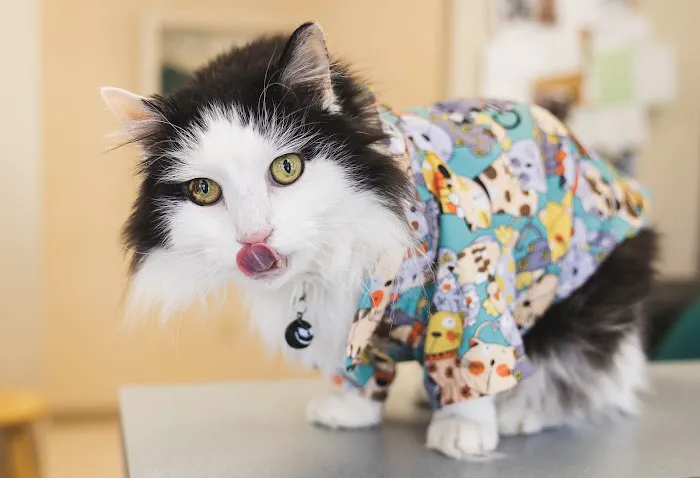 Eldersburg Veterinary Hospital 1