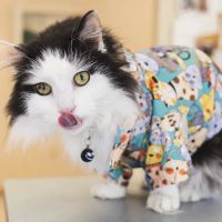 Eldersburg Veterinary Hospital ico