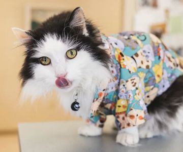 Eldersburg Veterinary Hospital