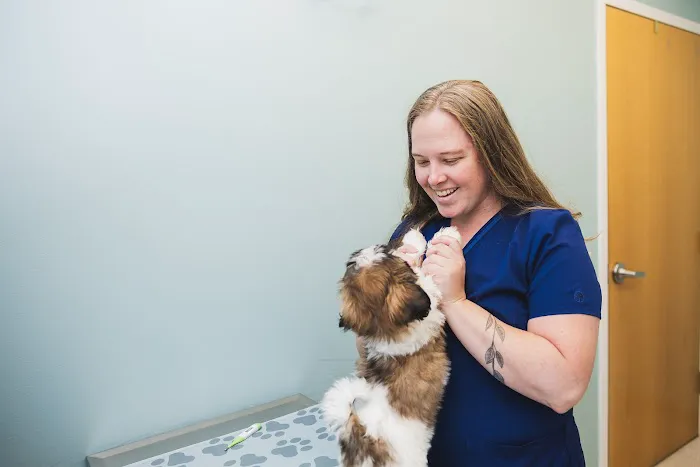 Eldersburg Veterinary Hospital 3