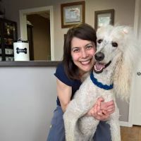 South Carroll Veterinary Hospital ico