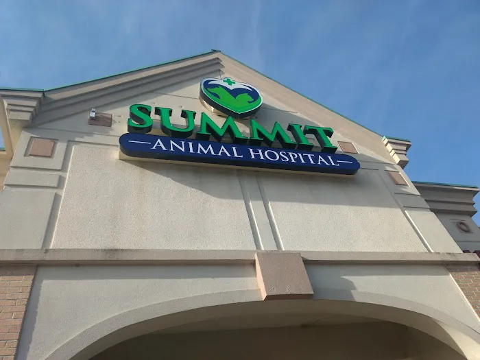 Summit Animal Hospital 12