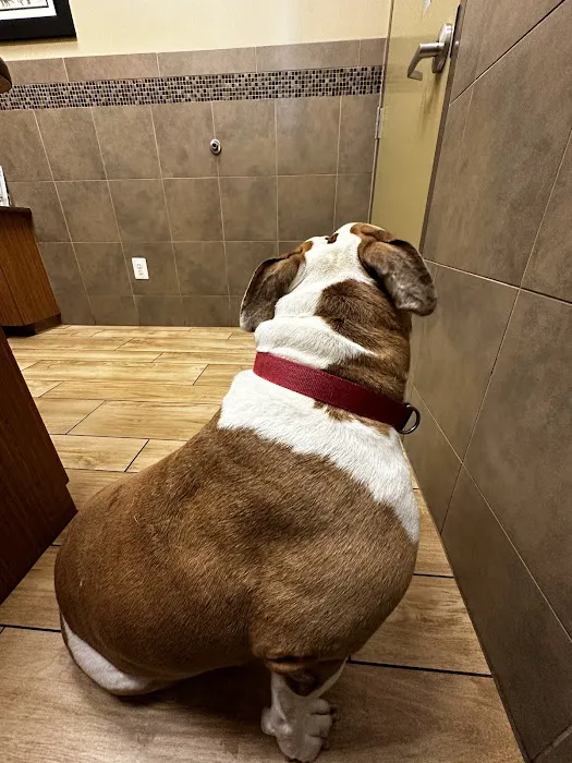 Summit Animal Hospital 12