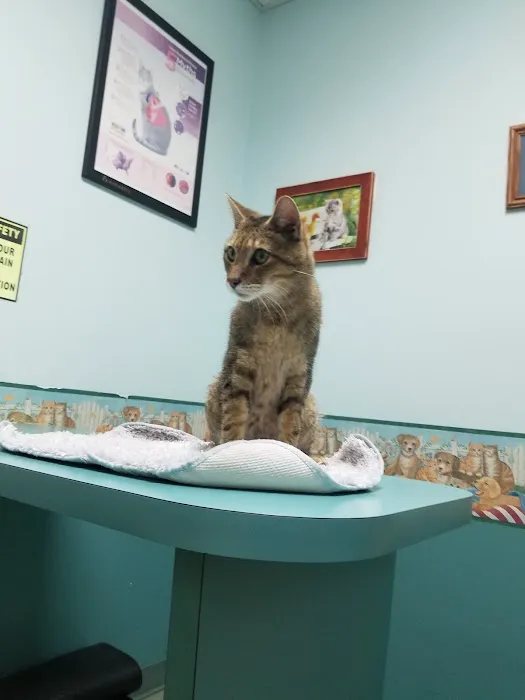 Sykesville Veterinary Clinic 2