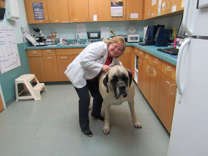 Sykesville Veterinary Clinic 7