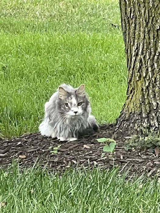 Finksburg Veterinary Center (Mobile/House calls) 8