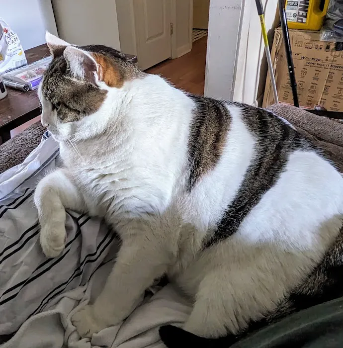 Finksburg Veterinary Center (Mobile/House calls) 9
