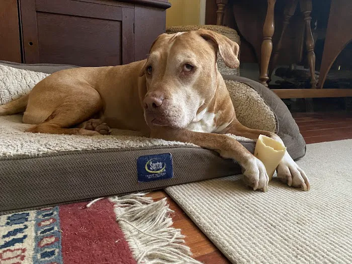 Finksburg Veterinary Center (Mobile/House calls) 6
