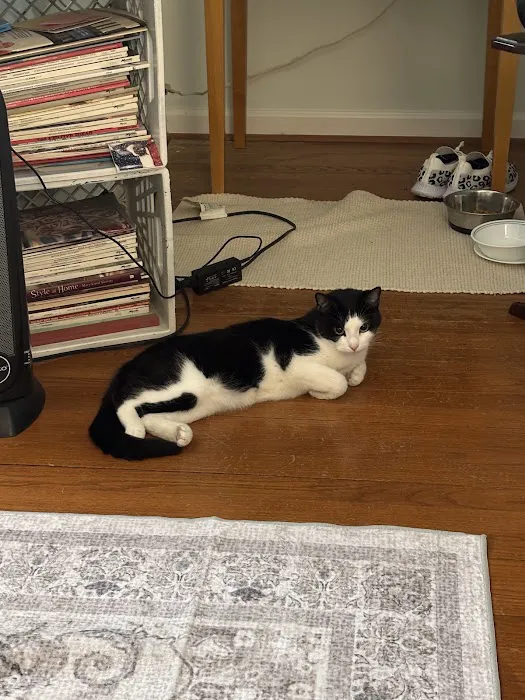 Finksburg Veterinary Center (Mobile/House calls) 7
