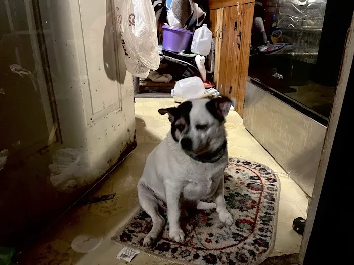Finksburg Veterinary Center (Mobile/House calls) 4