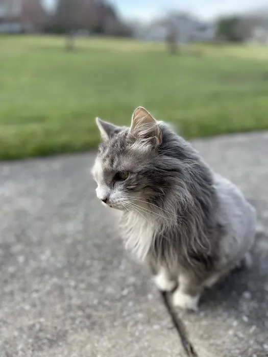 Finksburg Veterinary Center (Mobile/House calls) 5