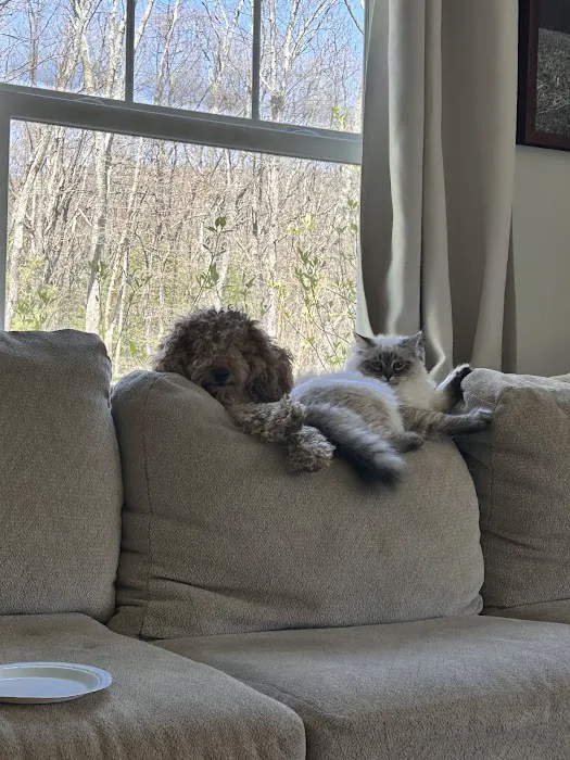 Hillcrest Manor Siberians of MD 12