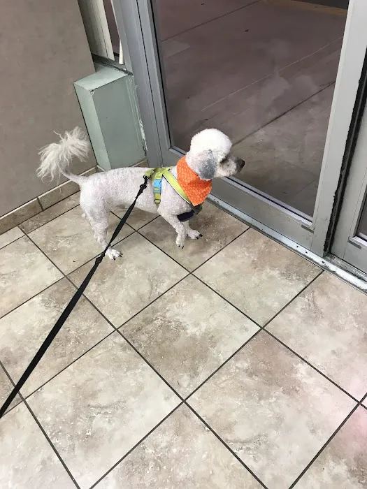 Advanced Veterinary Complex 4