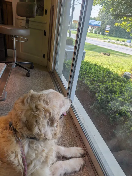 Route 140 Veterinary Hospital Inc: Flick Farle W DVM 1