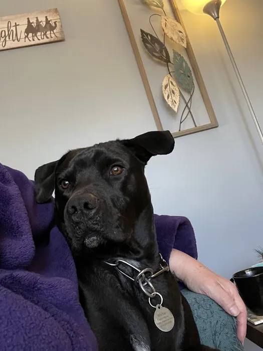 Banfield Pet Hospital 4