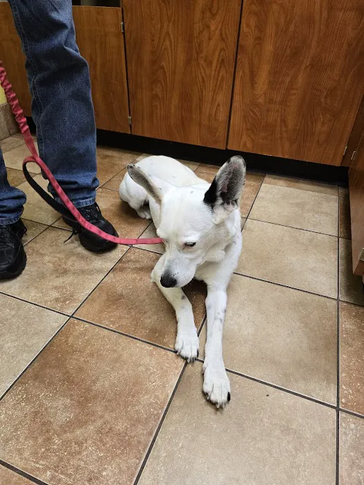 Banfield Pet Hospital 3