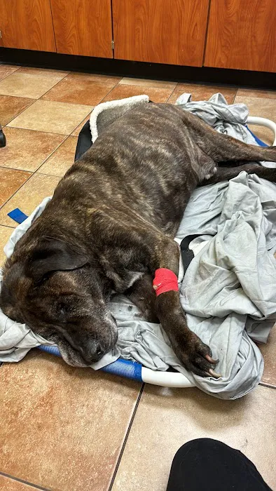 Banfield Pet Hospital 8