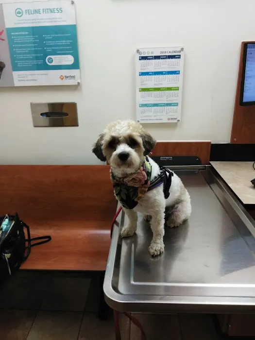 Banfield Pet Hospital 7