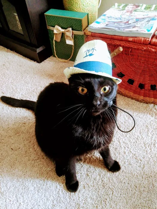 Pet Wellness Clinic 6