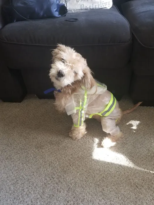 Pet Wellness Clinic 5