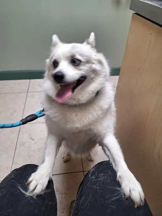 Anne Arundel Veterinary Hospital 1