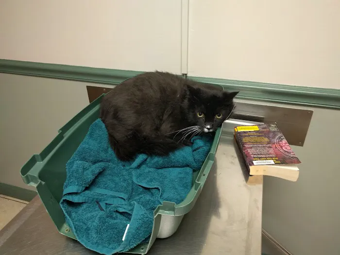Anne Arundel Veterinary Hospital 2