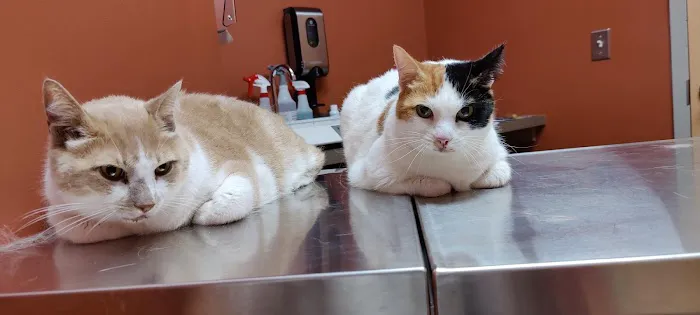 Everhart Veterinary Hospital: Goodman Robert Z DVM 9