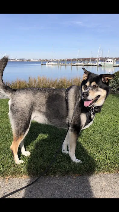 Everhart Veterinary Hospital: Goodman Robert Z DVM 2
