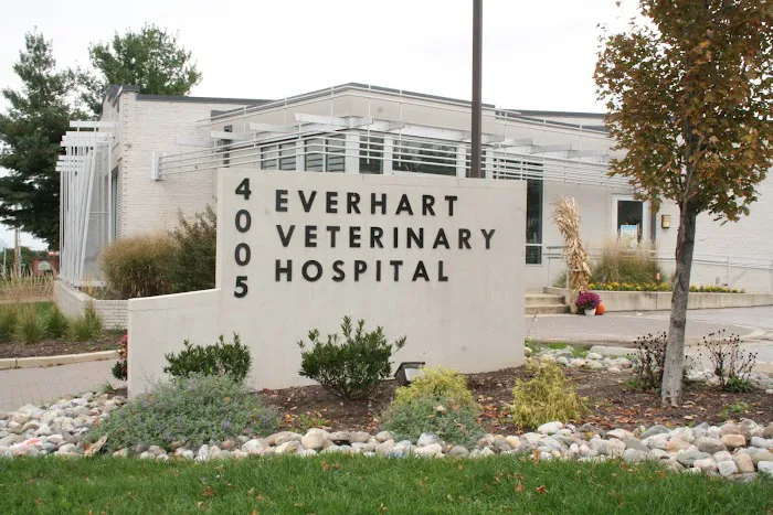 Everhart Veterinary Hospital: Goodman Robert Z DVM 5