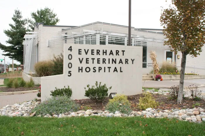 Everhart Veterinary Medicine 2