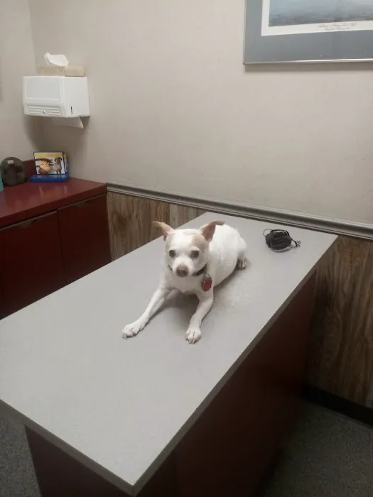 Pasadena Animal Hospital 7