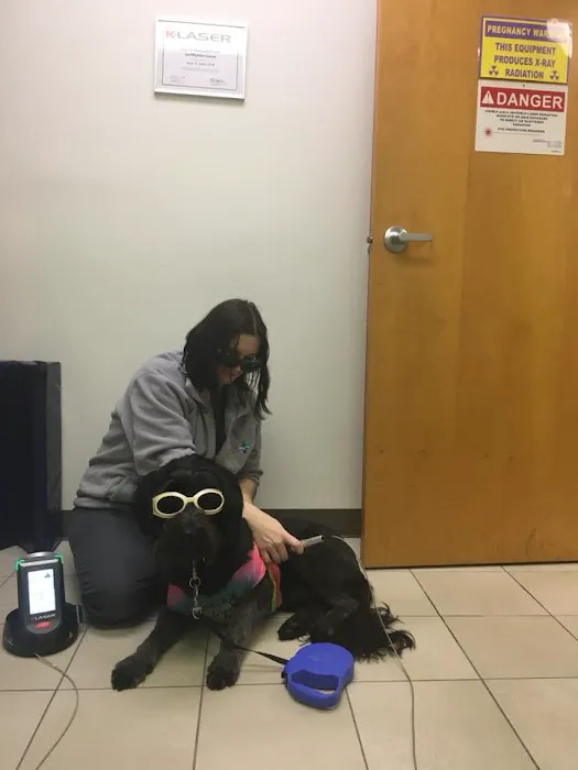 Lake Shore Pet Hospital 6