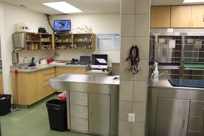 Lake Shore Pet Hospital 4