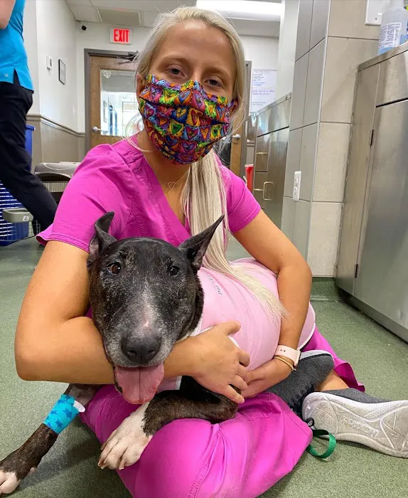 Lake Shore Pet Hospital 1