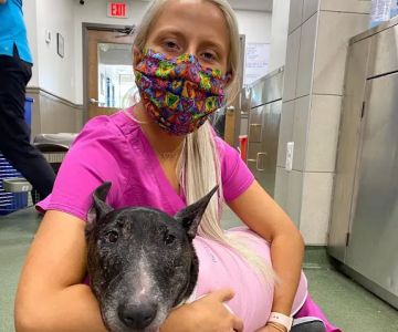 Lake Shore Pet Hospital