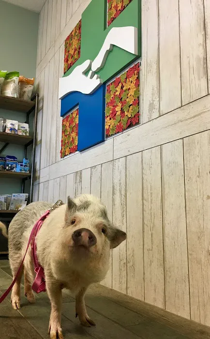 Lake Shore Pet Hospital 5