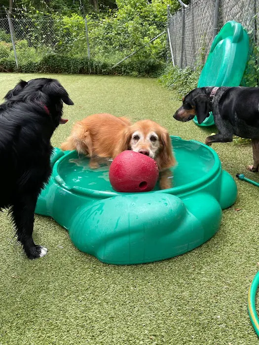 Arnold Pet Station 1