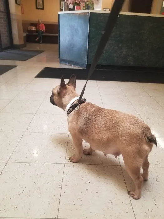 Main Street Veterinary Hospital 5