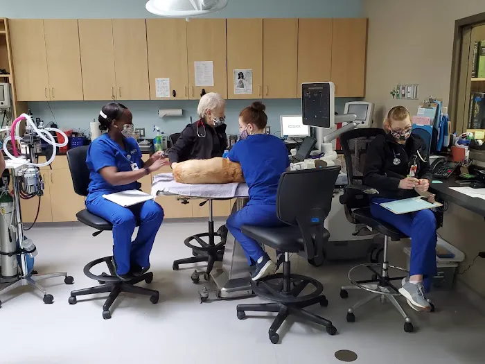 Atlantic Veterinary Internal Medicine & Oncology - Hunt Valley 12