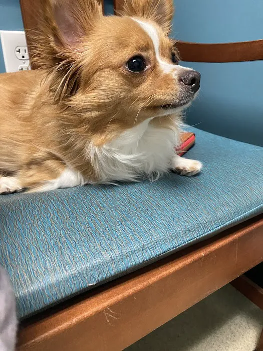 Pet+E.R. 12