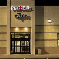Pet+E.R. ico
