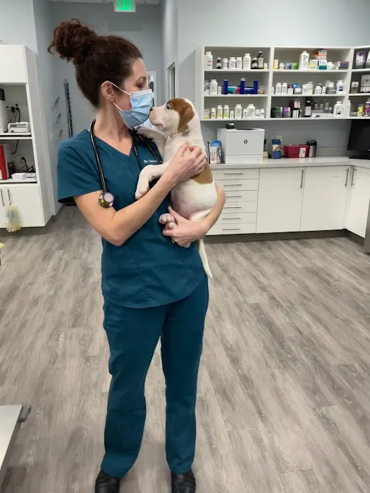 Urgent VET Care 9